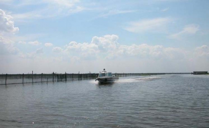 陽澄湖農(nóng)家樂