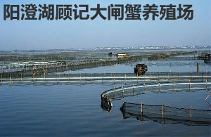 陽澄湖農(nóng)家樂