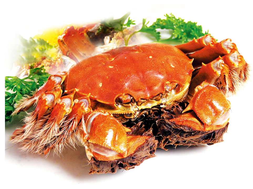 陽(yáng)澄湖大閘蟹62