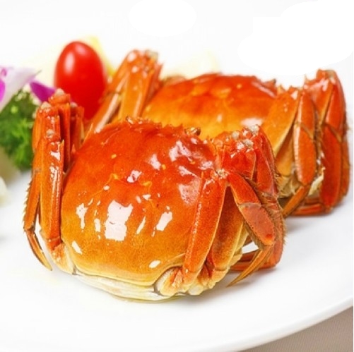 陽(yáng)澄湖大閘蟹68