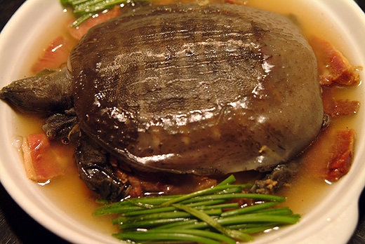 陽(yáng)澄湖農(nóng)家菜18