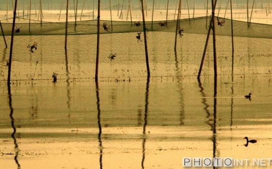 蘇州相城“醉美陽(yáng)澄湖”攝影展將在京舉辦