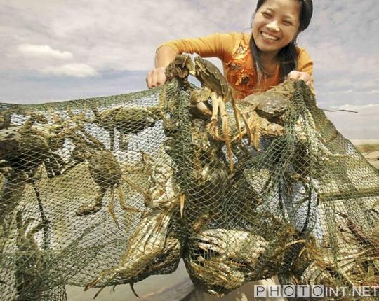 蘇州相城“醉美陽(yáng)澄湖”攝影展將在京舉辦