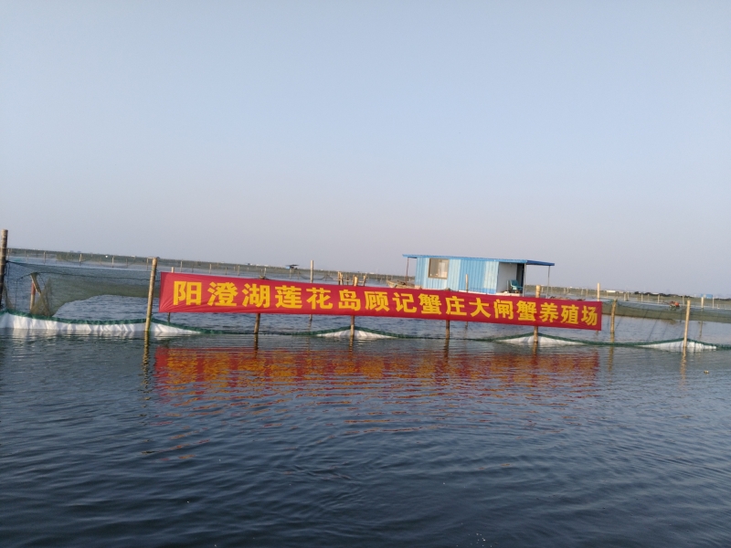 大閘蟹養(yǎng)殖場(chǎng)