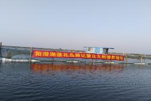 顧記蟹莊養(yǎng)殖場84