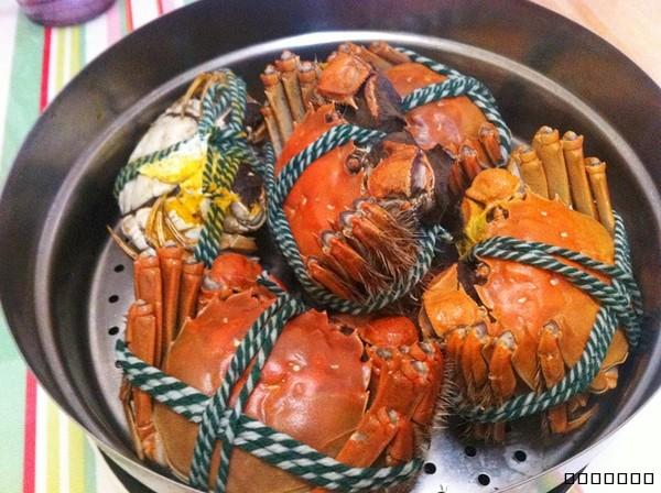 陽澄湖大閘蟹48